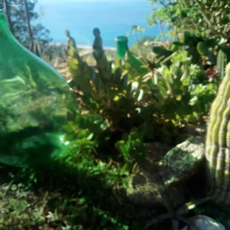 La Casa Dell'olmo Zambrone