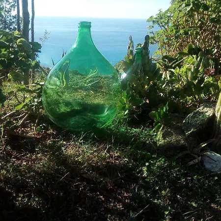 Apartment La Casa Dell'olmo Zambrone