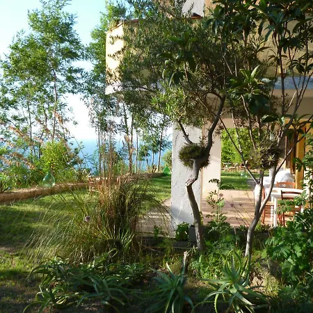 La Casa Dell'olmo Zambrone