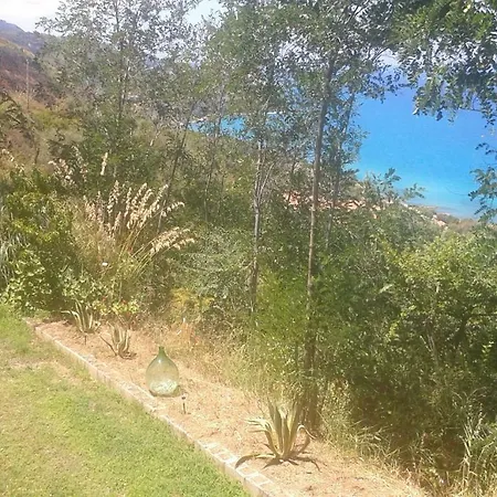 Apartment La Casa Dell'olmo