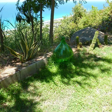 Apartment La Casa Dell'olmo *