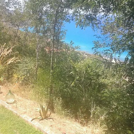 Apartment La Casa Dell'olmo