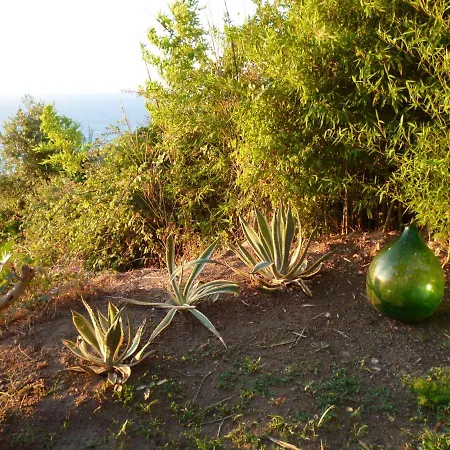 Apartment La Casa Dell'olmo