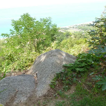 La Casa Dell'olmo Apartment Zambrone