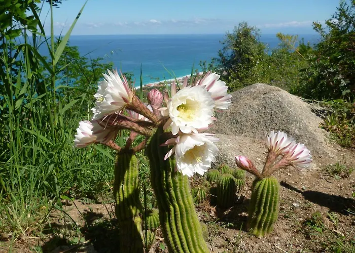 La Casa Dell'olmo アパート